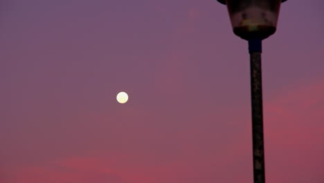 telephoto pedestal shot of full moon in twilight sky next to lamp post in front