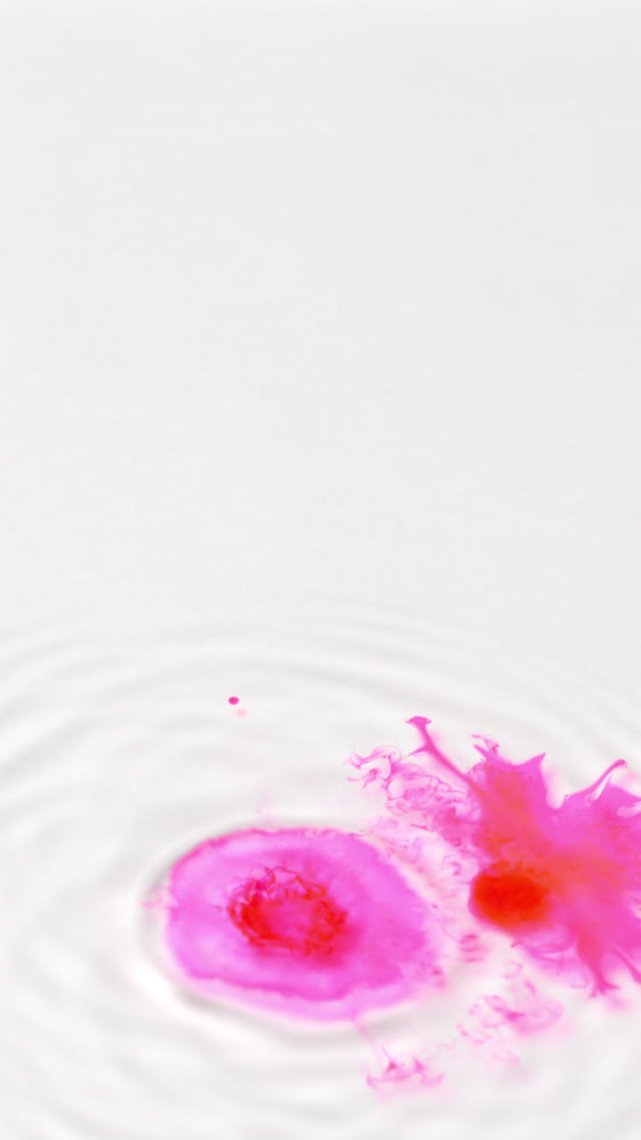Overhead Vertical Video Shot Of Droplet Of Pink Paint Or Dye Dropped Into Water Against White Background To Create Swirling Colourful Pattern