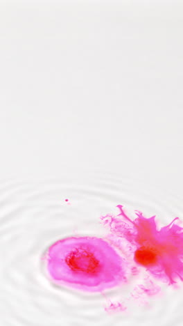 overhead vertical video shot of droplet of pink paint or dye dropped into water against white background to create swirling colourful pattern