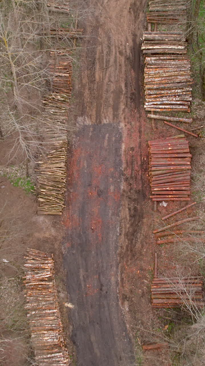 High angle aerial shot of stacked timber logs along a muddy forest road, showcasing industrial logging and timber harvesting operations