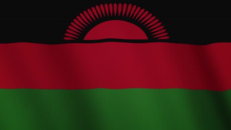 malawi flag waving animation. full screen. symbol of the country
