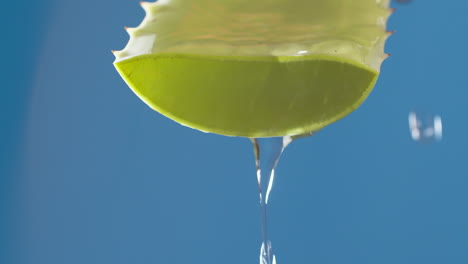 pure water drops and streams to green aloe vera on blue background