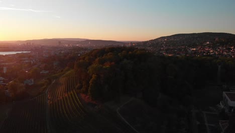 Drohne-Aus-Der-Luft,-Die-Bei-Sonnenuntergang-Rückwärts-Und-Hoch-über-Weinreben-Fliegt-Und-Im-Hintergrund-Die-Stadt-Zürich,-Schweiz,-Enthüllt