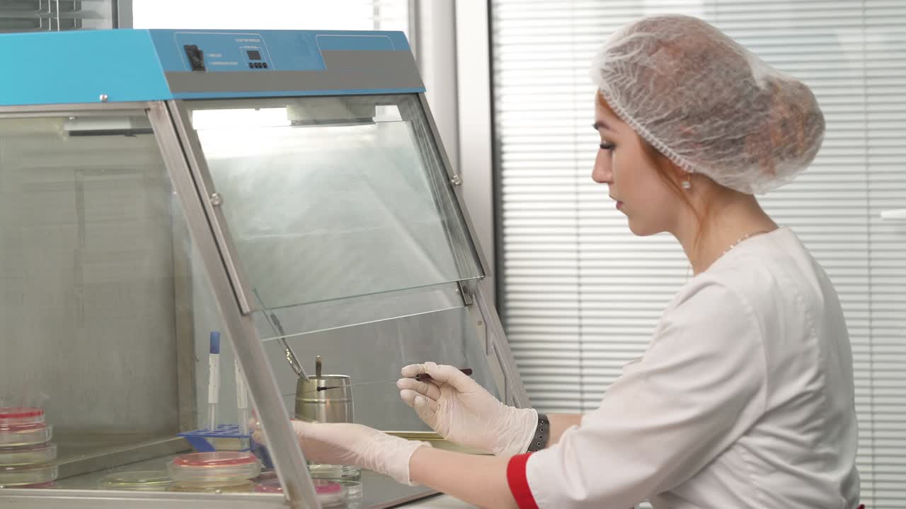 Vista laterale di scienziati di laboratorio medico che lavorano in una cappa per colture tissutali in laboratorio. Concetto di ricerca scientifica e sanitaria