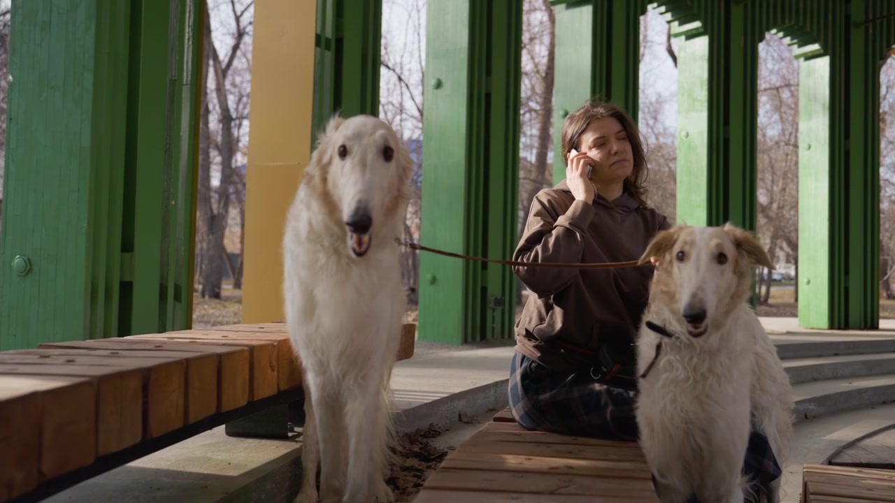 Una donna siede su una panca di legno in una struttura da parco all'aperto con due cani bianchi, parlando o ascoltando il suo telefono. L'ambiente presenta travi dipinte di verde e giallo di un padiglione tipo gazebo e alberi spogli.