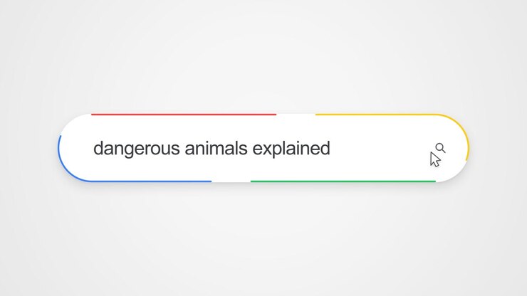 Close-up view of typing "dangerous animals explained" into an online search bar with a cursor clicking the search icon, illustrating internet search and wildlife education research