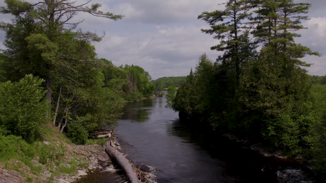 Lentää joen rannan ja Gatineau-joella sijaitsevan saaren välillä, jonne kuollut puu on ajautunut.