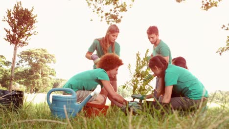 in slow motion happy friends gardening for the community