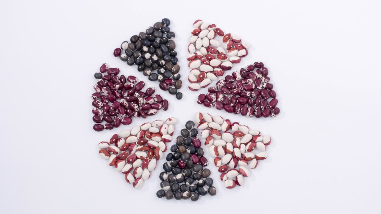 segmentos de círculo hechos de frijoles