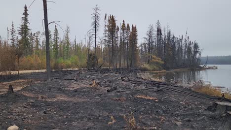 Los-Troncos-De-Los-árboles-Restantes-Después-Del-Incendio-Forestal-En-Sudbury,-Ontario,-En-Kirkland-Lake