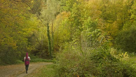 Músico-Femenino-Camina-Rápidamente-Por-Un-Sendero-Frondoso-Paisaje-De-Bosques-De-Otoño