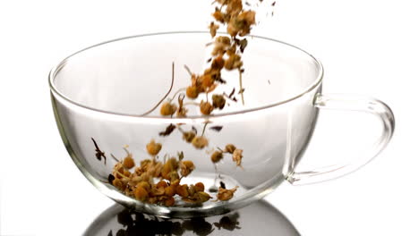 Dried-herbal-tea-pouring-into-glass-cup