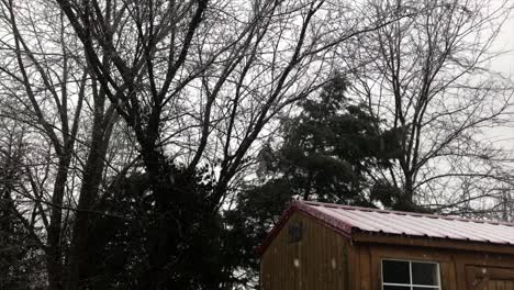 left to right pan of snow falling on an outdoor storage shed.