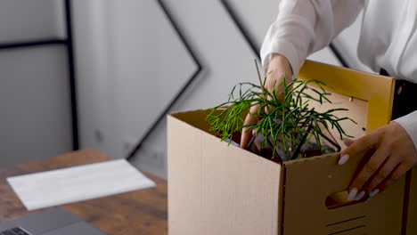 close up of woman's hands collecting her things in a box