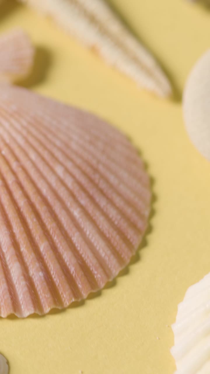 Vertical Video Summer Holiday Vacation Concept With Shells Pebbles Starfish Rotating On Yellow Background