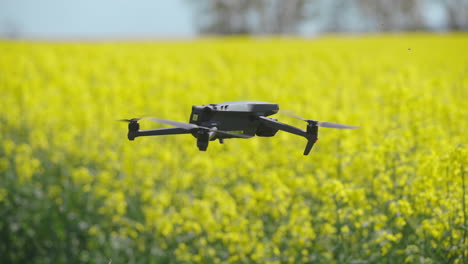 Drone Flying Over a Rapeseed Field