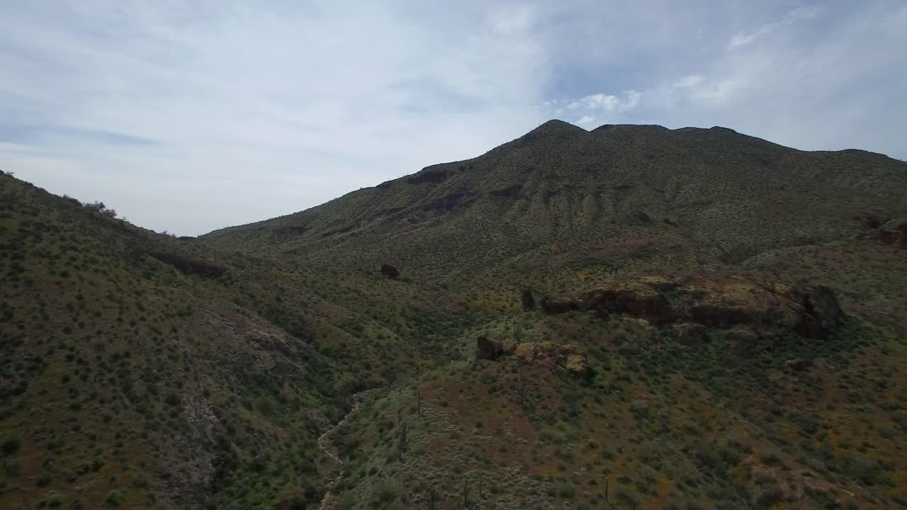 las montañas aéreas del desierto son verdes y están llenas de flores silvestres debido a las fuertes lluvias invernales, el bosque nacional tonto, el desierto sonorense, el lago bartlett, el concepto de arizona: drones, flores silvestres, primavera