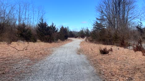 Walking-along-pathway-during-sunny-day