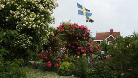 swedish flag, red house and blossoms in idyllic rural summer scene