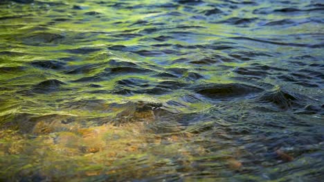 cámara lenta, primer plano de agua en un río
