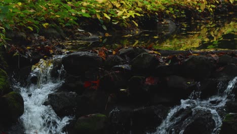 Kleiner-Wasserfall-Mitten-Im-Wald-Im-Herbst