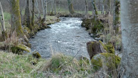 Landschaftsfluss,-Der-Zwischen-Bäumen-Fließt