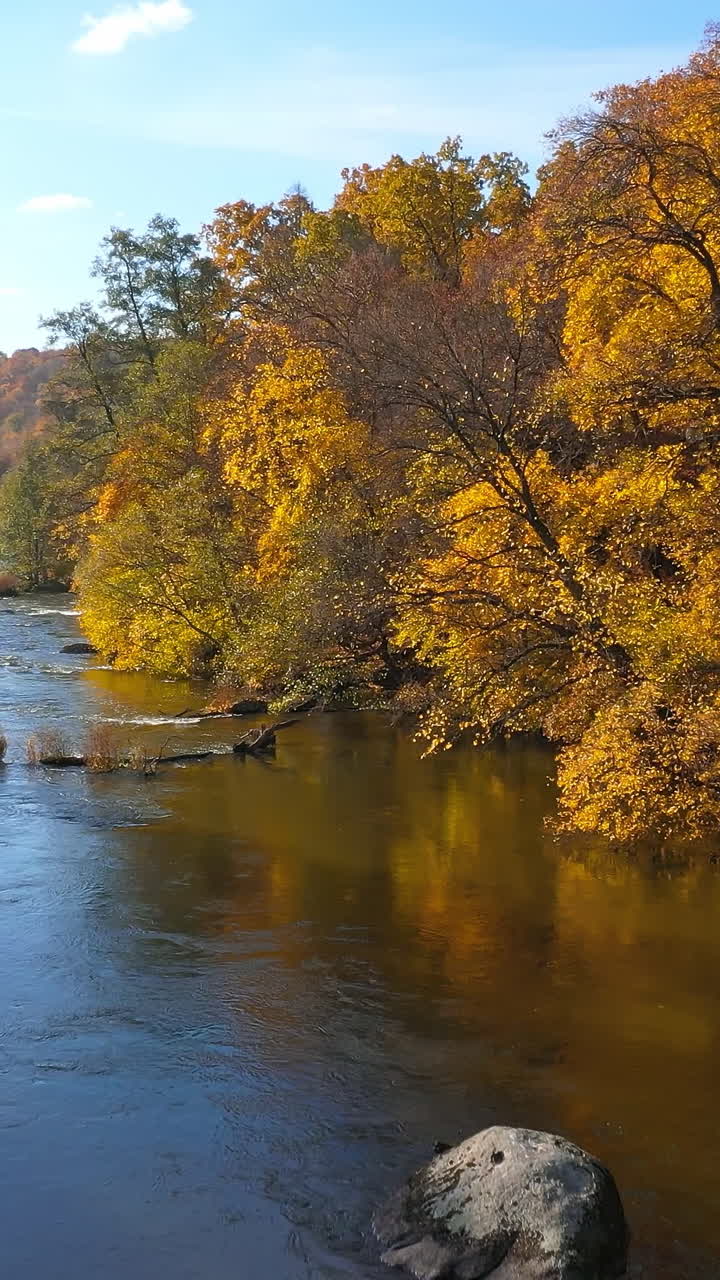 Natural seasonal colorful scenery. Autumn beautiful landscapes aerial view. Vertical video