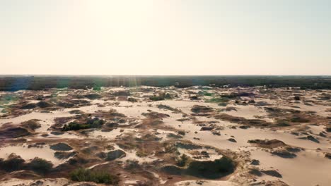 vista aérea de un desierto, dunas de arena. textura de la superficie de la naturaleza del desierto