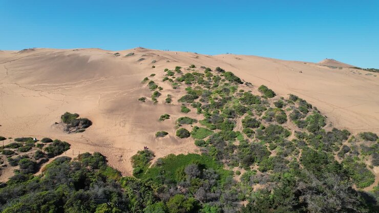 Enormi dune costiere in una giornata di sole accanto a una strada