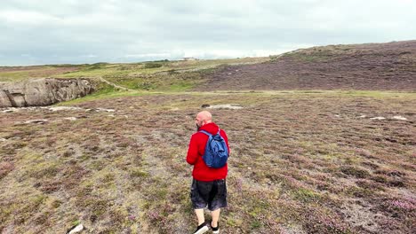 casual male hiking with dog on welsh coastal trail overlooking anglesey seascape