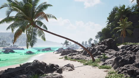 tropical beach with palm trees and crystal clear water