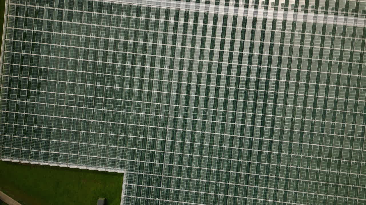 invernaderos de vidrio masivos para tomates, vista aérea de arriba hacia abajo