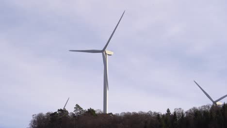 Three-Enercon-wind-turbines-rotating-behind-forest-with-bird-flying-low-above-treetops