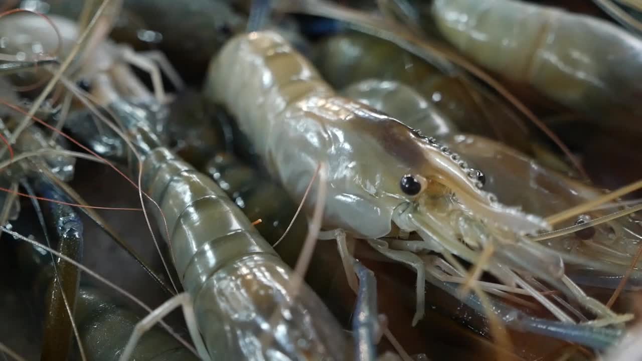 다양한 종류의 생선과 해산물, 근접