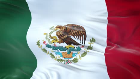 mexico flag waving in the wind with highly detailed fabric texture. seamless loop