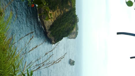 vertical dolly forward reveal shot through a ring of branches overlooking the ocean and a cluster of small islands off the coast of nusa penida bali