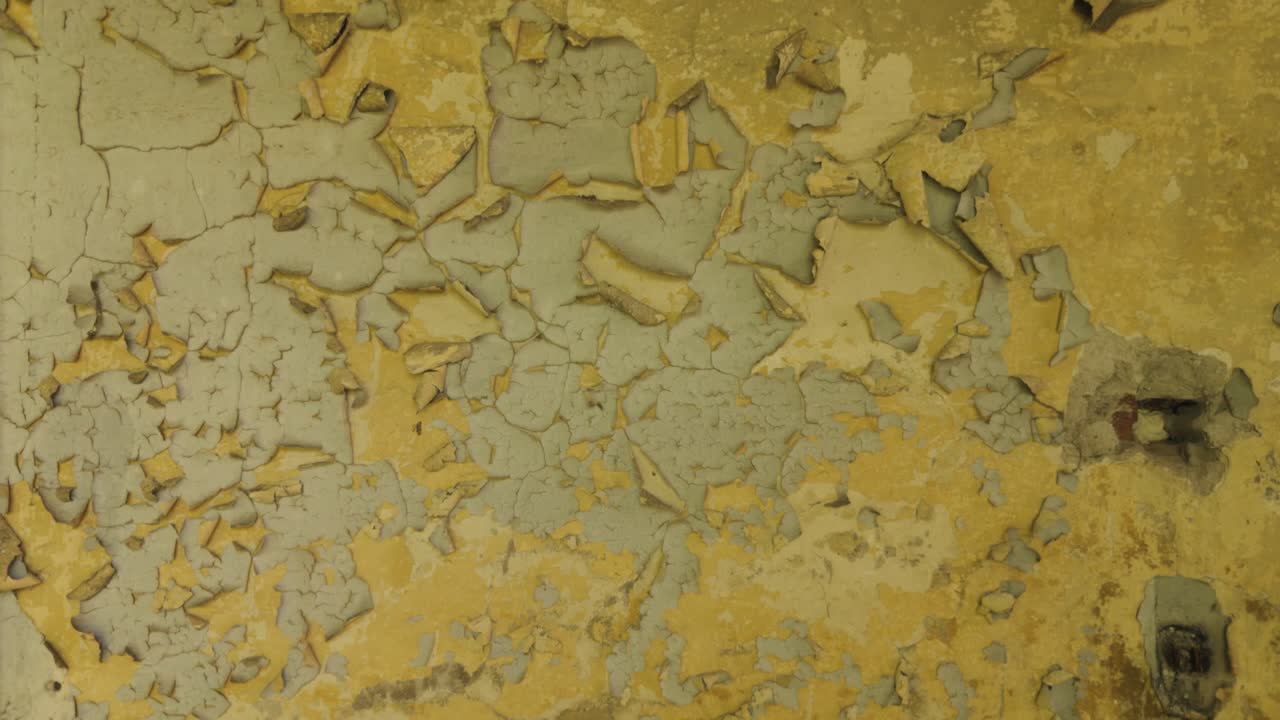 Decaying Wall with Peeling Paint and Plant Growth