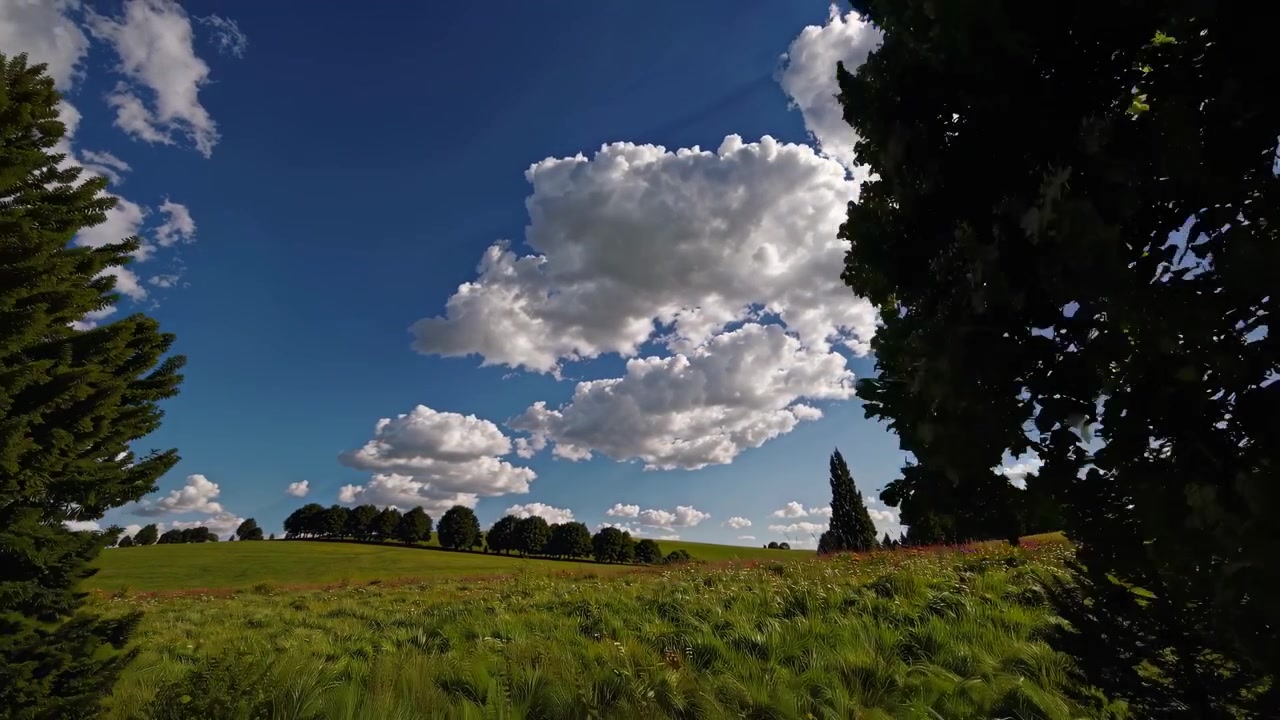 Sunny Day Over a Green Hill with White Clouds and Wildflowers
