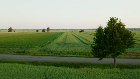 Drone-Dolly-En-Campo-De-Tierra-Agrícola---Toma-Aérea