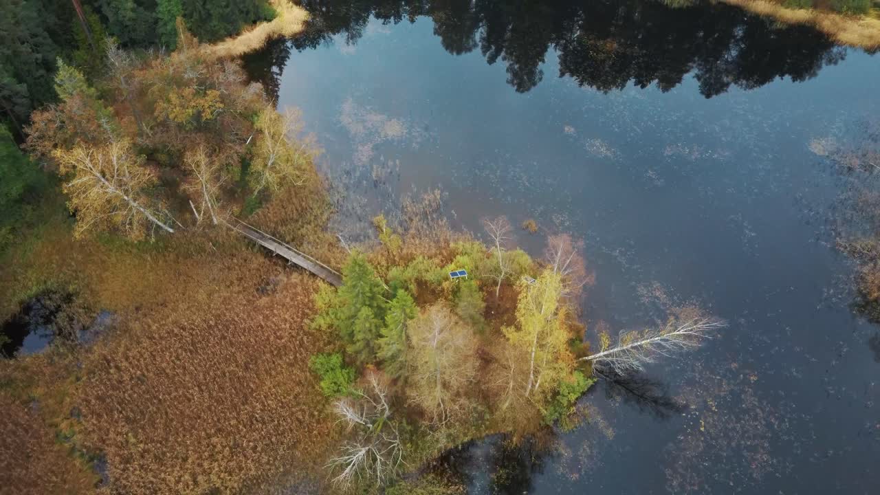 Vue aérienne d'une forêt de conifères verts (pins et épicéas) et du lac Kalnmuiza en Lettonie.