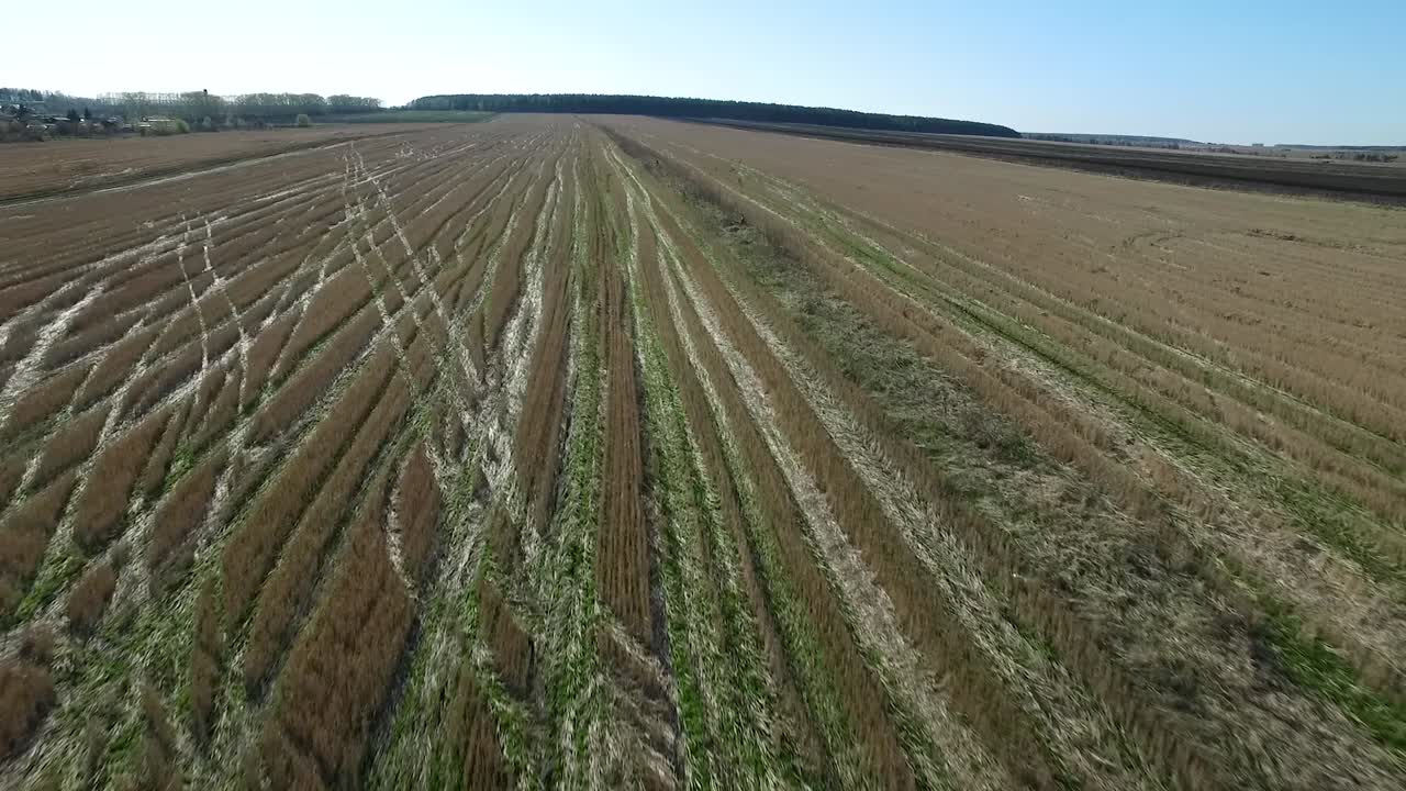 수확 된 의 공중 사진