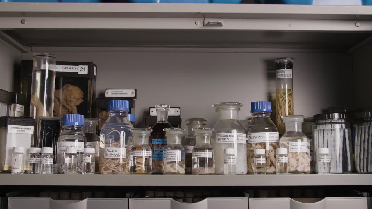 Macro shot of a preserved parasitic worm in a glass jar, labeled and archived in a scientific environment.