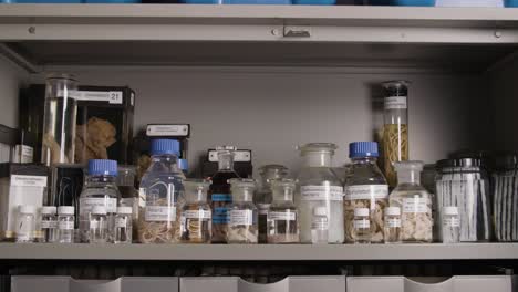 macro shot of a preserved parasitic worm in a glass jar, labeled and archived in a scientific environment.