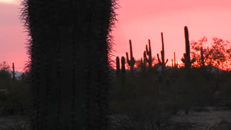 the sun sets upon a desert area