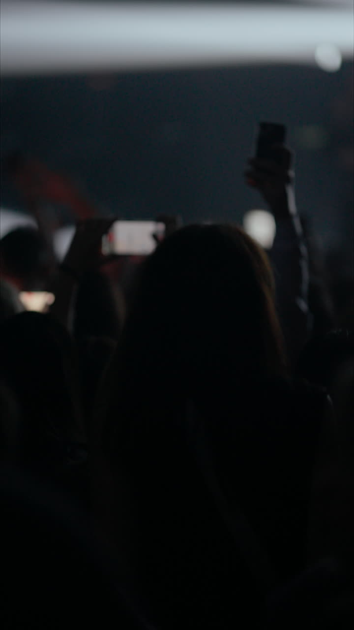 La folla al concerto