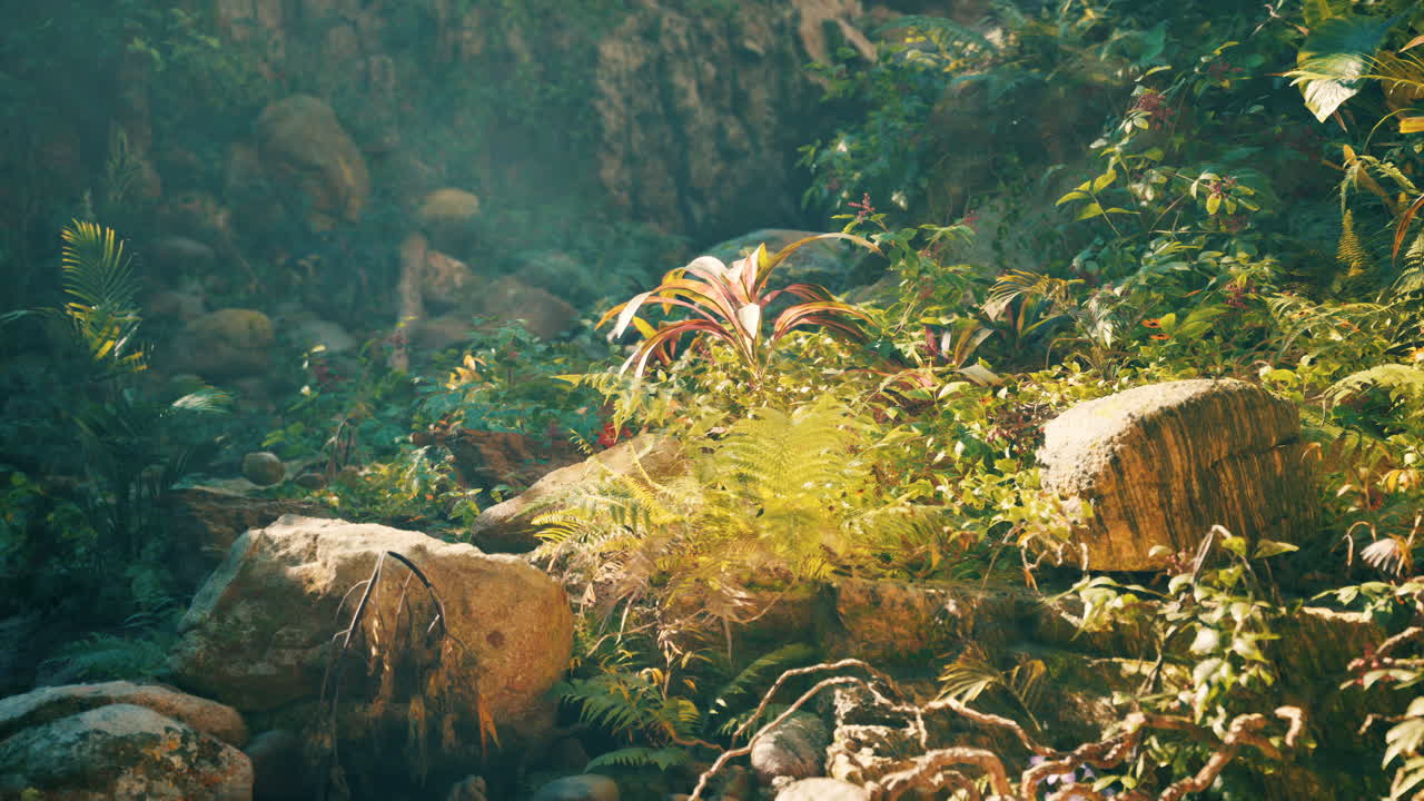 빛이 잎을 통해 흐르는 정글 바닥