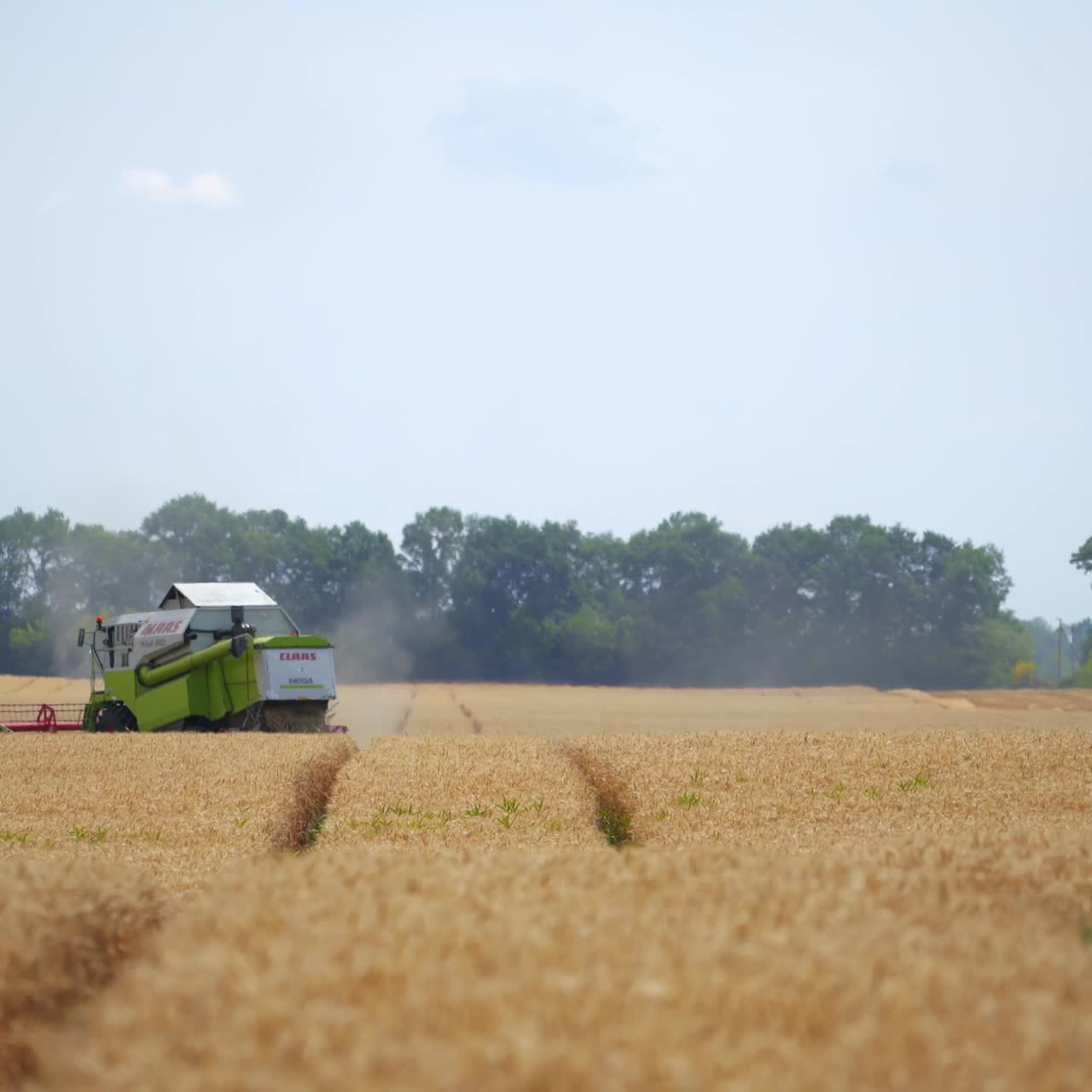 Harvesting of field with combine