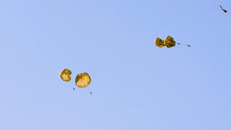 military c-130 hercules is shown releasing paratroopers and cargo during an airborne mission. this tactical operation showcases capabilities of the aircraft for troop deployment and logistics support