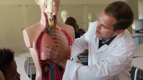 profesor masculino que enseña anatomía humana en la clase