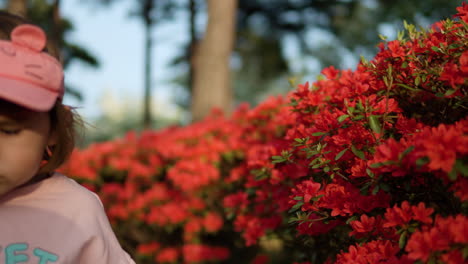 toddler inspects red azaleas with magnifying glass, walks out of frame